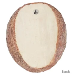 Sunnydaze Decor Sunnydaze Outdoor Polyresin Winifred And Wesley The Wise Old Owls Tree Hugger Tree Trunk Garden Sculpture Decoration - 9" - 2pc -Furniture GUEST 0ca4f6f5 9c41 4802 8875 d06673772317