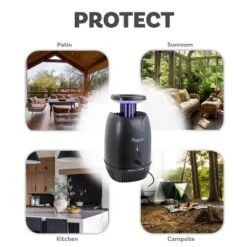 Sunnydaze Decor Sunnydaze Tabletop Bug Zapper With Fan And Violet Light - 5.25" In Diameter X 9.75" H -Furniture GUEST 124fb4d9 c405 4698 992b c0bcce5db00b