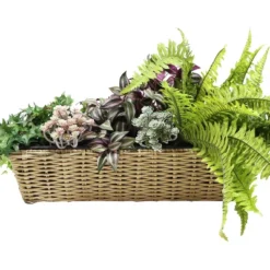 Sunnydaze Decor Sunnydaze Hanging Rectangle Polyrattan Rail Planter With Plastic Liner - 23.5" W X 7.5" D X 6.5" H -Furniture GUEST 1ad88708 b0ad 451a aa5e a9fe287e962b