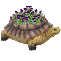 Sunnydaze Decor Sunnydaze Polyresin Teddy The Turtle Decorative Indoor/Outdoor Garden Planter For Patio, Lawn, Porch And Backyard - 11" W - Green And Brown 11 Sunnydaze Decor Sunnydaze Polyresin Teddy The Turtle Decorative Indoor/Outdoor Garden Planter For Patio, Lawn, Porch And Backyard - 11" W - Green And Brown -Furniture GUEST 317784b7 f741 4e46 8e4c f46fa8867416