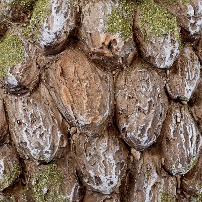 Sunnydaze Decor Sunnydaze Hazel The Hedgehog Statue - Indoor/Outdoor Decorative Figurine - 7" 4 Sunnydaze Decor Sunnydaze Hazel The Hedgehog Statue - Indoor/Outdoor Decorative Figurine - 7" - Image 2