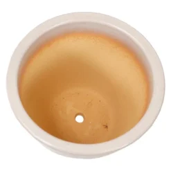 Sunnydaze Decor Sunnydaze Ocean Villa Decorative Glazed Ceramic Outdoor Planters For Greenery Or Flowers - 11.75" - Pearl - 2pc 16 Sunnydaze Decor Sunnydaze Ocean Villa Decorative Glazed Ceramic Outdoor Planters For Greenery Or Flowers - 11.75" - Pearl - 2pc -Furniture GUEST 4e7db5a1 efd4 4776 a308 82bfabb2240b