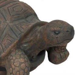 Sunnydaze Decor Sunnydaze Indoor/Outdoor Lifelike Large Tanya The Tortoise Patio Garden Yard Entryway Decorative Statue - 20" 9 Sunnydaze Decor Sunnydaze Indoor/Outdoor Lifelike Large Tanya The Tortoise Patio Garden Yard Entryway Decorative Statue - 20" -Furniture GUEST 528a6b48 4a34 4602 9662 5b58ee266c93