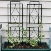 Sunnydaze Decor Sunnydaze Contemporary Metal Wire Garden Trellis For Climbing Plants And Flowers - 30" H - Black - 2-Pack 1 Sunnydaze Decor Sunnydaze Contemporary Metal Wire Garden Trellis For Climbing Plants And Flowers - 30" H - Black - 2-Pack -Furniture GUEST 5322f238 b970 4e39 b174 80e7dafe988e