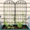 Sunnydaze Decor Sunnydaze Metal Wire Traditional Garden Trellis For Climbing Plants And Flowers - 32" H - Black - 2-Pack -Furniture GUEST 636a52bf 1d88 49a4 81ba 8ac52d651522