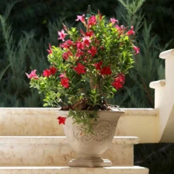 Sunnydaze Decor Sunnydaze Indoor/Outdoor Patio, Garden, Or Porch Weather-Resistant Double-Walled Darcy Flower Pot Planter - 16" - Beige -Furniture GUEST 685d84d6 bc6d 4ce5 b0d1 9483e4e461b2