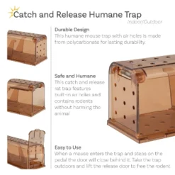 Sunnydaze Decor Sunnydaze Catch And Release Humane Mousetrap - 7.5" W X 2.75" D X 2.75" H - 4-Pack 28 Sunnydaze Decor Sunnydaze Catch And Release Humane Mousetrap - 7.5" W X 2.75" D X 2.75" H - 4-Pack -Furniture GUEST 739c9649 0313 4a1d 86f1 79bc280b200c