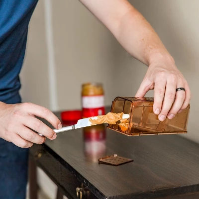 Sunnydaze Decor Sunnydaze Catch And Release Humane Mousetrap - 7.5" W X 2.75" D X 2.75" H - 4-Pack 5 Sunnydaze Decor Sunnydaze Catch And Release Humane Mousetrap - 7.5" W X 2.75" D X 2.75" H - 4-Pack - Image 3