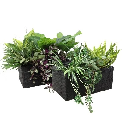 Sunnydaze Decor Sunnydaze 2-Section Rectangle Polyrattan Indoor Planters - 21.5" W X 11.5" D X 9.25" H - 2-Pack 9 Sunnydaze Decor Sunnydaze 2-Section Rectangle Polyrattan Indoor Planters - 21.5" W X 11.5" D X 9.25" H - 2-Pack - Image 7