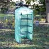 Sunnydaze Decor Sunnydaze Outdoor Portable Growing Rack 4-Tier Greenhouse With Roll-Up Door - 4 Shelves - Green -Furniture GUEST ab3b9276 bf70 46ef b183 989394c84fb2