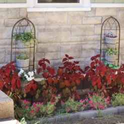 Sunnydaze Decor Sunnydaze Steel Wire Arched Climbing Plants Wall Trellis With Flowerpot Supports - 48" H - Black - 2-Pack 13 Sunnydaze Decor Sunnydaze Steel Wire Arched Climbing Plants Wall Trellis With Flowerpot Supports - 48" H - Black - 2-Pack -Furniture GUEST abf324f0 6af2 4667 af64 f75bacf6b4e4