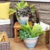 Sunnydaze Decor Sunnydaze Indoor/Outdoor Purlieu Decorative Glazed Ceramic Planters For Greenery Or Flowers - 12" -Furniture GUEST b0eea65c b0a0 4d86 b484 53efa25fc6c7