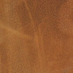 Sunnydaze Decor Sunnydaze Outdoor Camping Or Backyard Round Cast Iron Rustic Fire Pit Bowl With Handles -Furniture GUEST b1327672 8494 41fc 955e ce4dfb03a219