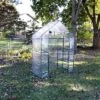 Sunnydaze Decor Sunnydaze Outdoor Portable Tiered Growing Rack Deluxe Walk-In Greenhouse With Roll-Up Door - 4 Shelves - Clear - 54" X 28" X 77" -Furniture GUEST b1dfd91d 902e 405b a272 5a48bc01b2c6