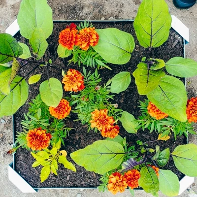 Sunnydaze Decor Sunnydaze Outdoor Lawn And Garden Galvanized Steel Square Raised Vegetable Garden Or Flower Bed Planter Kit - 22" - Silver 5 Sunnydaze Decor Sunnydaze Outdoor Lawn And Garden Galvanized Steel Square Raised Vegetable Garden Or Flower Bed Planter Kit - 22" - Silver - Image 3