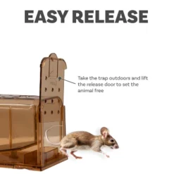 Sunnydaze Decor Sunnydaze Catch And Release Humane Mousetrap - 7.5" W X 2.75" D X 2.75" H - 4-Pack 27 Sunnydaze Decor Sunnydaze Catch And Release Humane Mousetrap - 7.5" W X 2.75" D X 2.75" H - 4-Pack -Furniture GUEST be942a09 1b34 481a a114 4846c0c68bd5