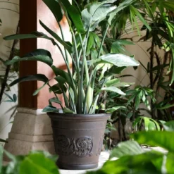 Sunnydaze Decor Sunnydaze Indoor/Outdoor Patio, Garden, Or Porch Weather-Resistant Double-Walled Arabella Flower Pot Planter - 16" - Rust Finish -Furniture GUEST c88cce34 38e3 4a66 8c94 410131cd4d36