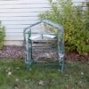Sunnydaze Decor Sunnydaze Outdoor Portable Growing Rack 2-Tier Greenhouse With PVC Roll-Up Door - 2 Shelves - Clear -Furniture GUEST cdbea1af 3b55 4fd9 a039 155ed8449364