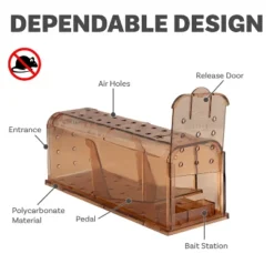 Sunnydaze Decor Sunnydaze Catch And Release Humane Mousetrap - 7.5" W X 2.75" D X 2.75" H - 4-Pack 25 Sunnydaze Decor Sunnydaze Catch And Release Humane Mousetrap - 7.5" W X 2.75" D X 2.75" H - 4-Pack -Furniture GUEST d261c206 1633 4abf 9e56 6a39463c6182