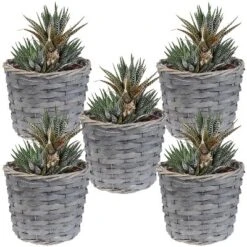 Sunnydaze Decor Sunnydaze Indoor Poplar Wicker Planters With Plastic Liners - Gray - Set Of 5 14 Sunnydaze Decor Sunnydaze Indoor Poplar Wicker Planters With Plastic Liners - Gray - Set Of 5 -Furniture GUEST d56ba385 9d74 42f3 8086 47cea659bc38