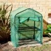 Sunnydaze Decor Sunnydaze Outdoor Portable Growing Rack 2-Tier Greenhouse With Roll-Up Door - 2 Shelves - Green -Furniture GUEST db2319b9 809a 4ccb 9d12 0147809479b6