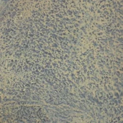 Sunnydaze Decor Sunnydaze 27"H Electric Polystone Seaside Outdoor Wall-Mount Water Fountain -Furniture GUEST dc873c07 cf6d 4ccf 93b2 496e045be9ba