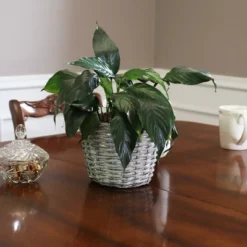 Sunnydaze Decor Sunnydaze Gray Willow Wicker Planter Baskets With Handles And Plastic Lining - Set Of 5 -Furniture GUEST de246691 46d9 4f42 8ca1 90c60a999c2b