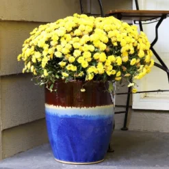 Sunnydaze Decor Sunnydaze Indoor/Outdoor Captivating Vista Decorative Glazed Ceramic Planter For Greenery Or Flowers - 14" - Beachcomber -Furniture GUEST e6ed929b d86e 41a4 8494 a3ff5186752b